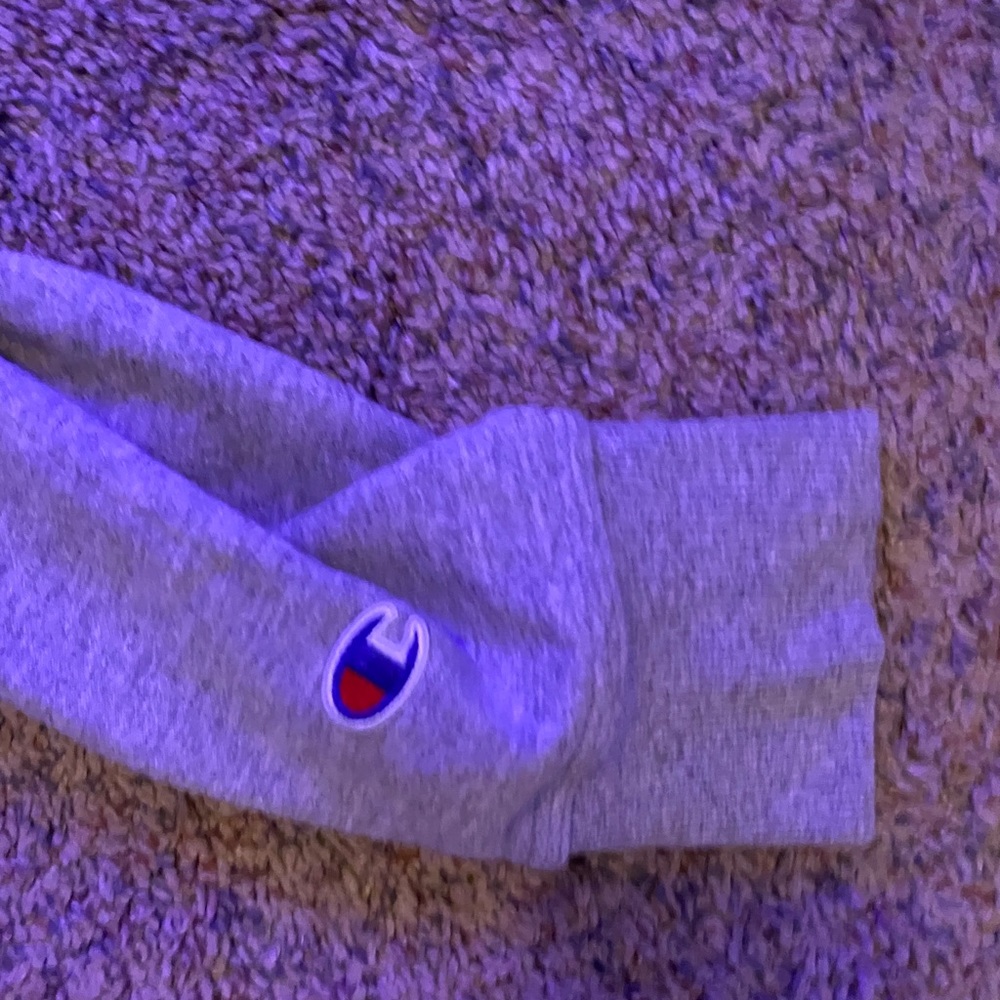 grey champion hoodie